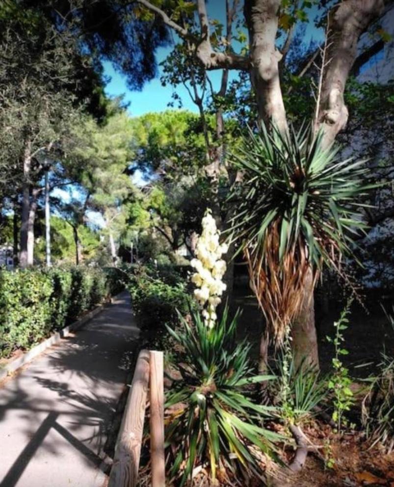 Studio Marseille Calanques Εξωτερικό φωτογραφία
